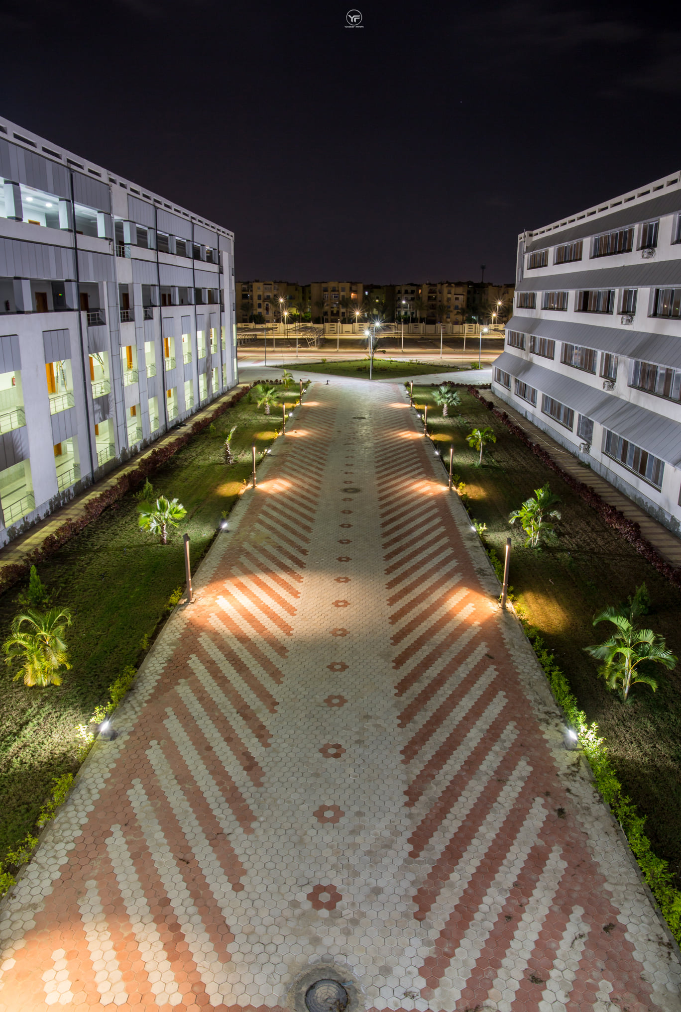 Damietta University 6