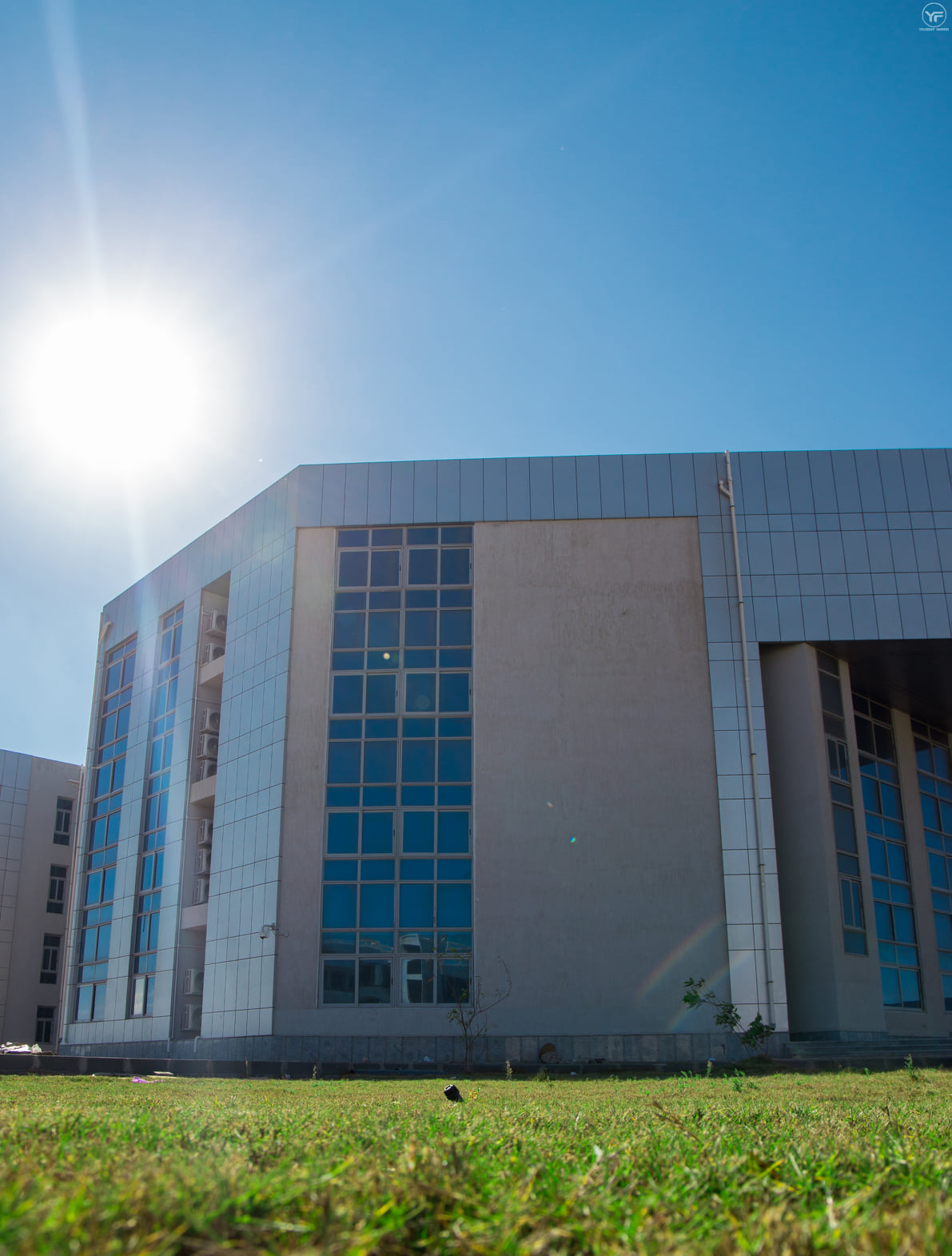 Damietta University 9