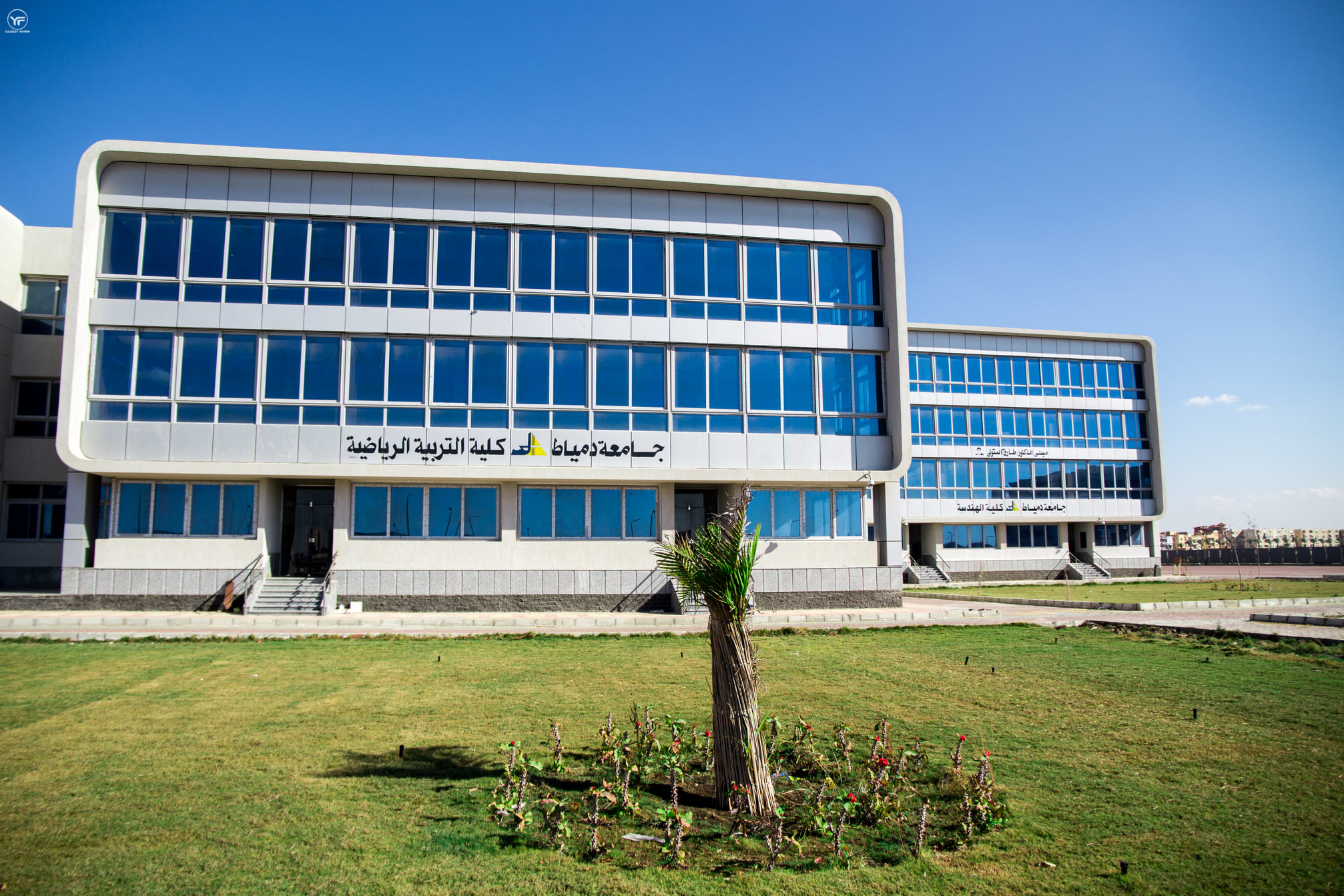 Damietta University 10
