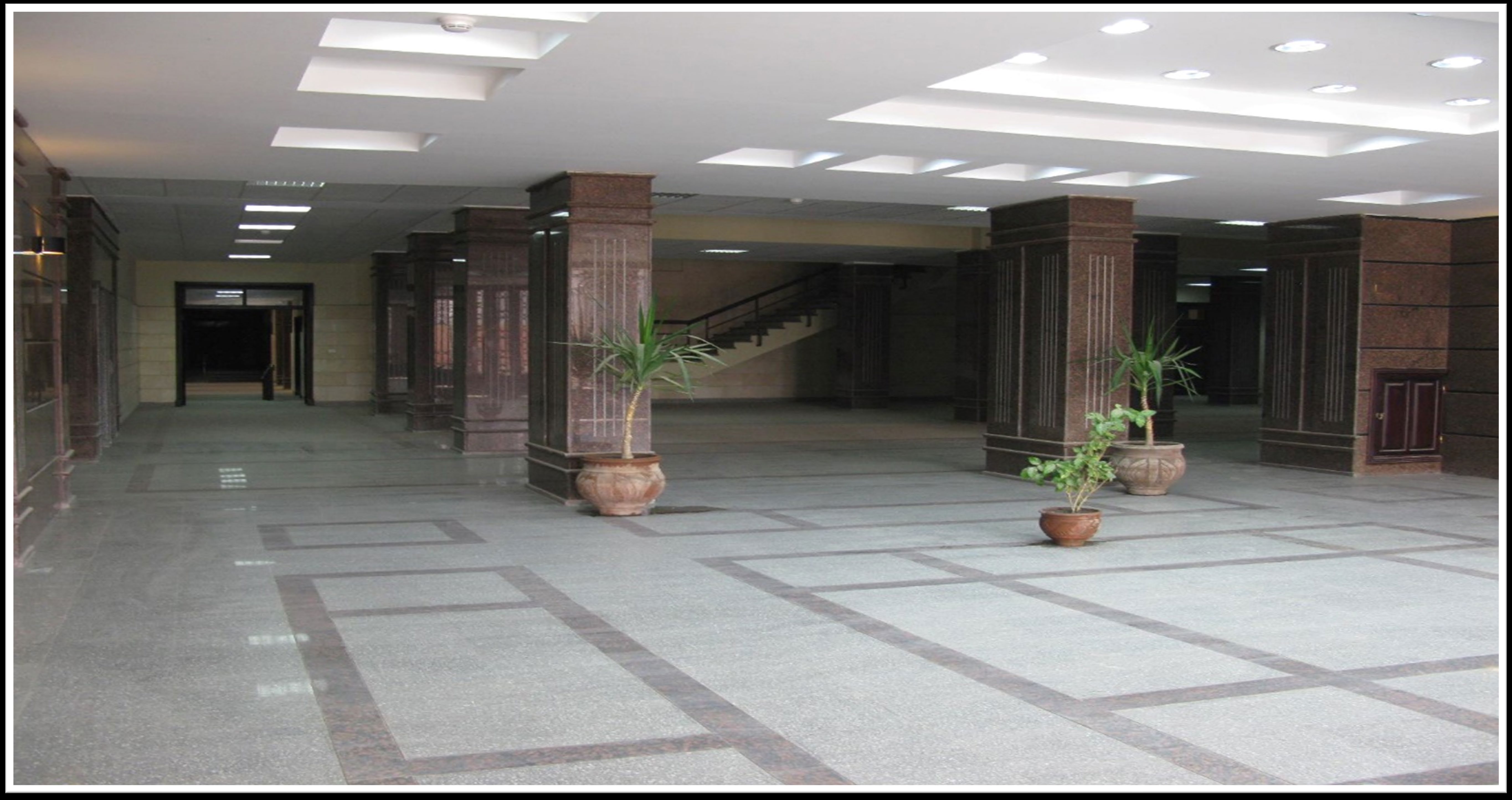 Fayoum University 5